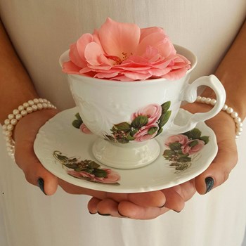 Teacup&Saucer